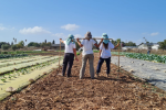 קיימא נהלל – חינוך, חקלאות, קיימת